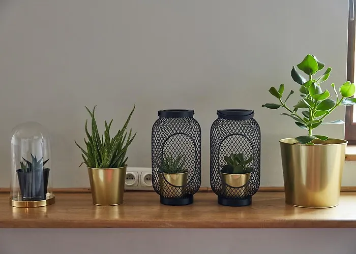 شقة Playhouse كراكوفيا